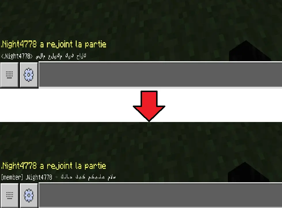 what exactly the plugin do :