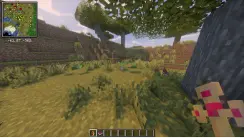 aaa