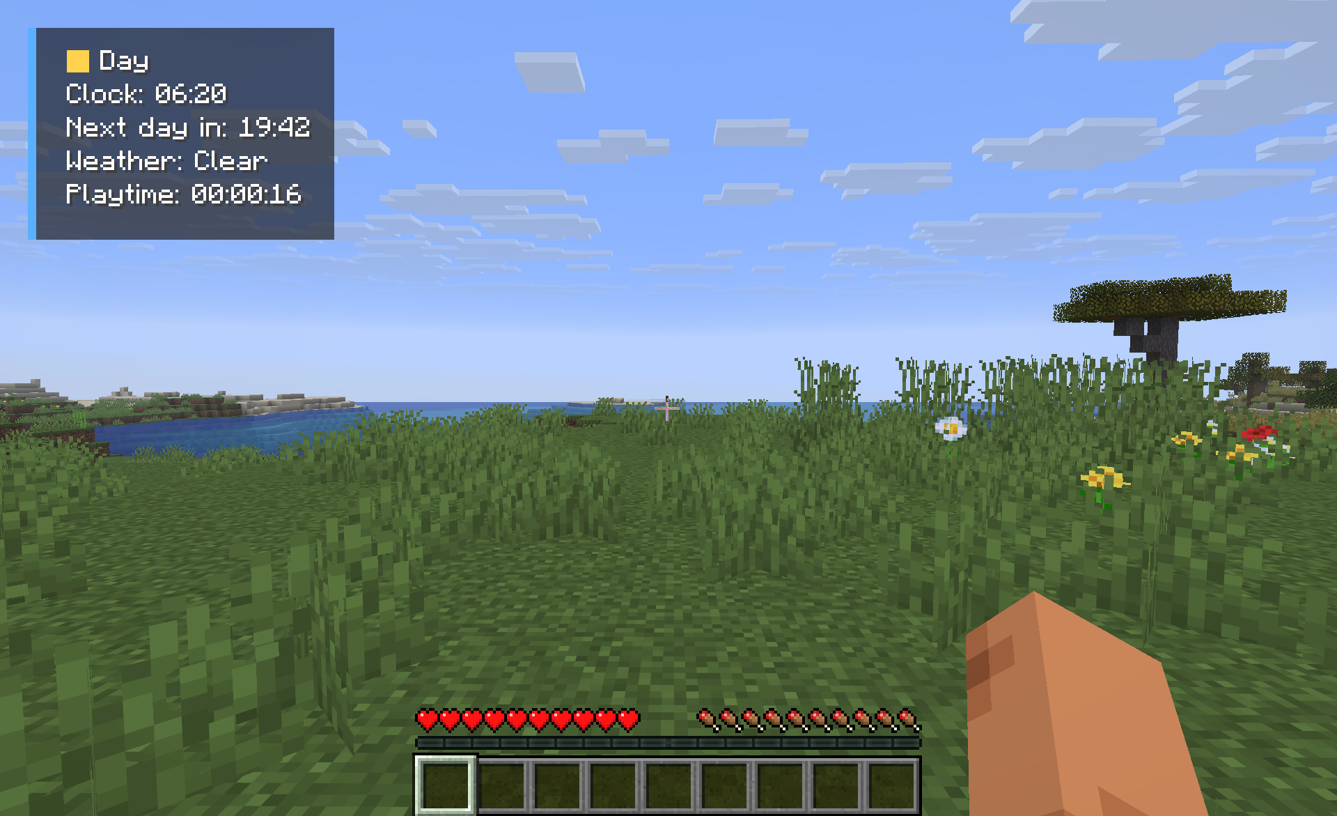 The forcast HUD