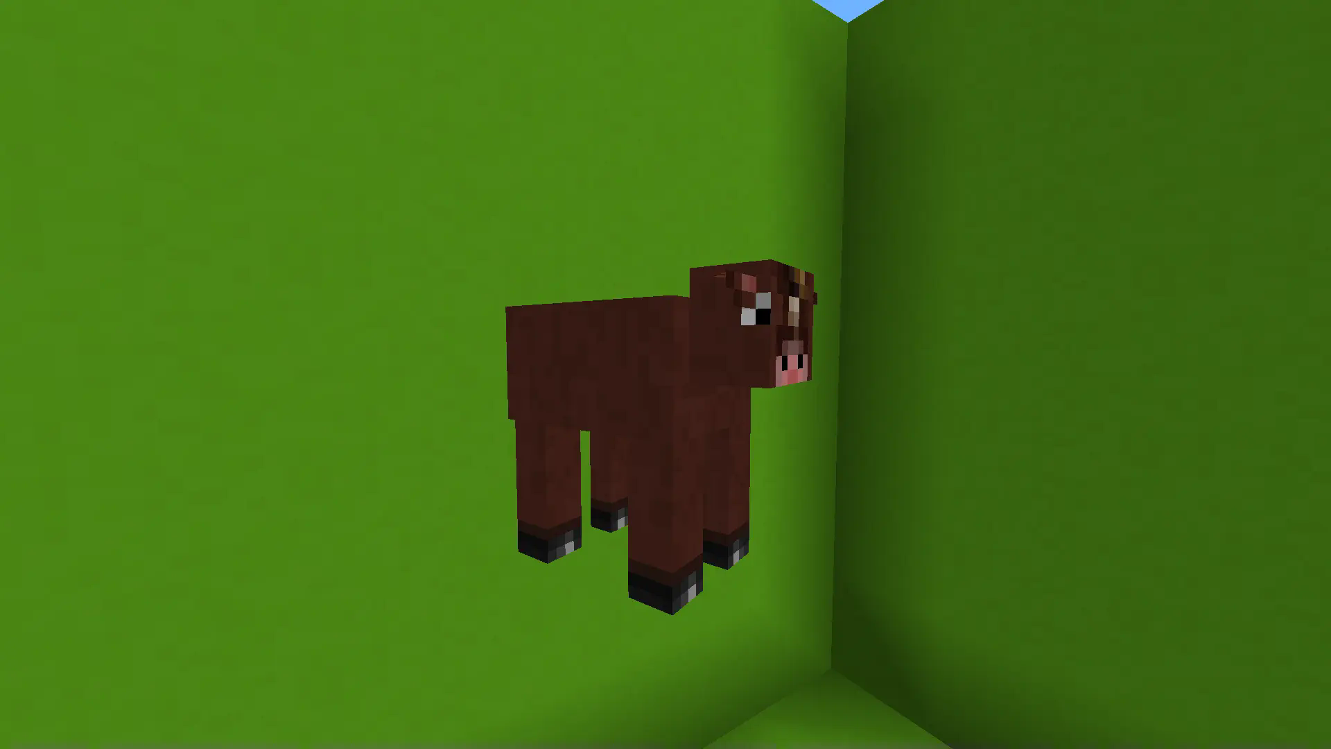 A cow-horse standing in front of a lime green concrete wall