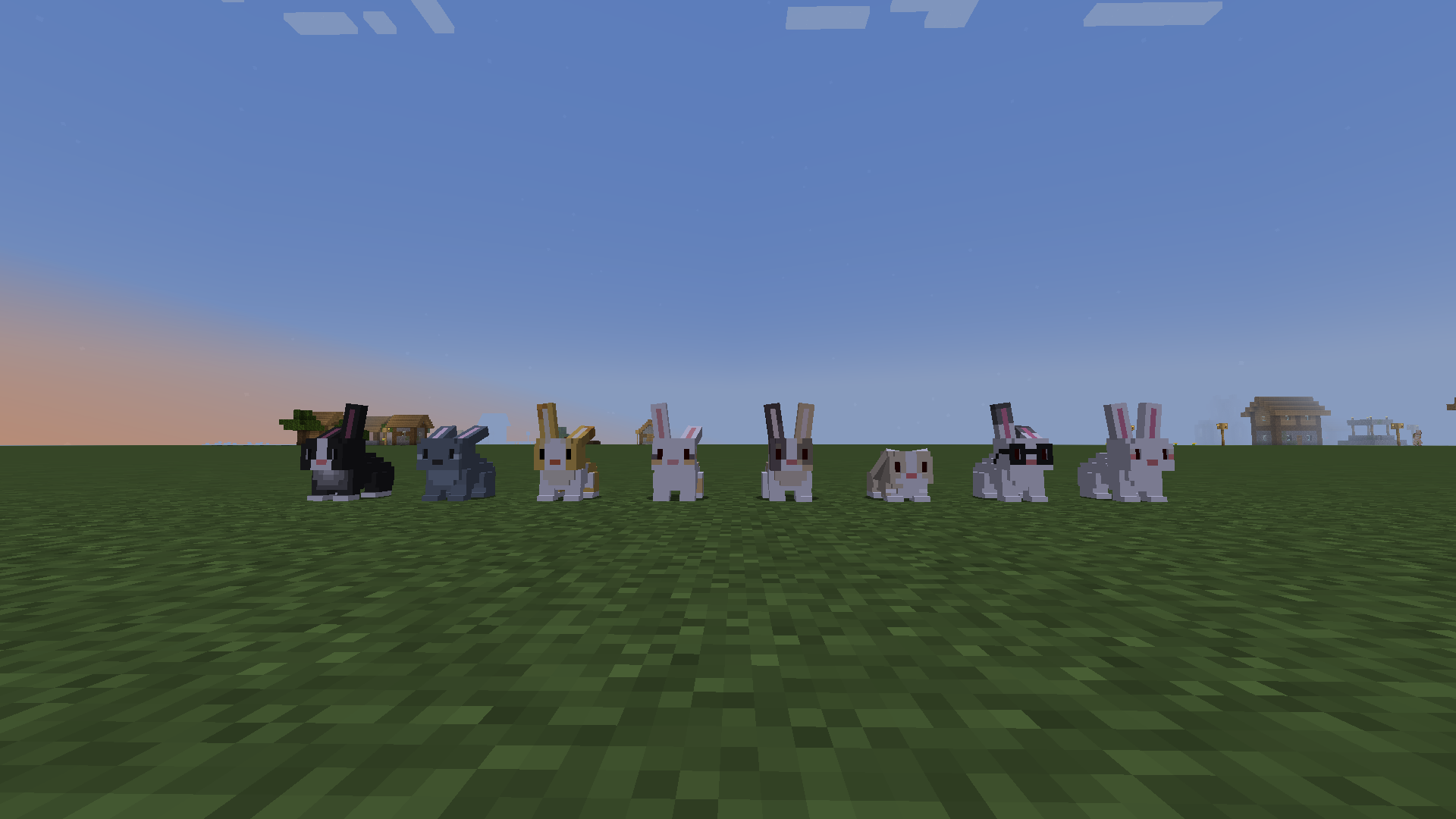 new bunnies