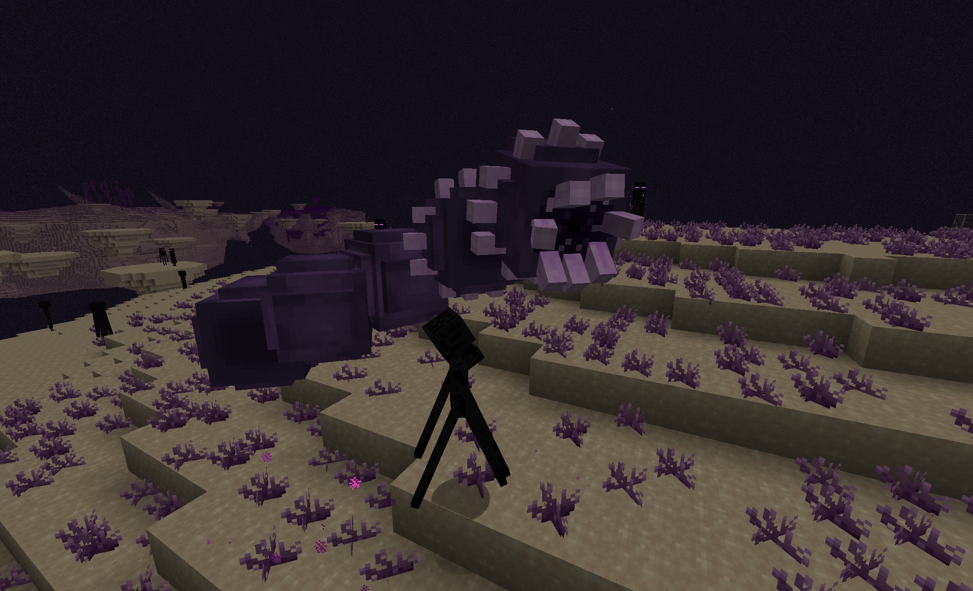 Enderworm Attacking an Enderman