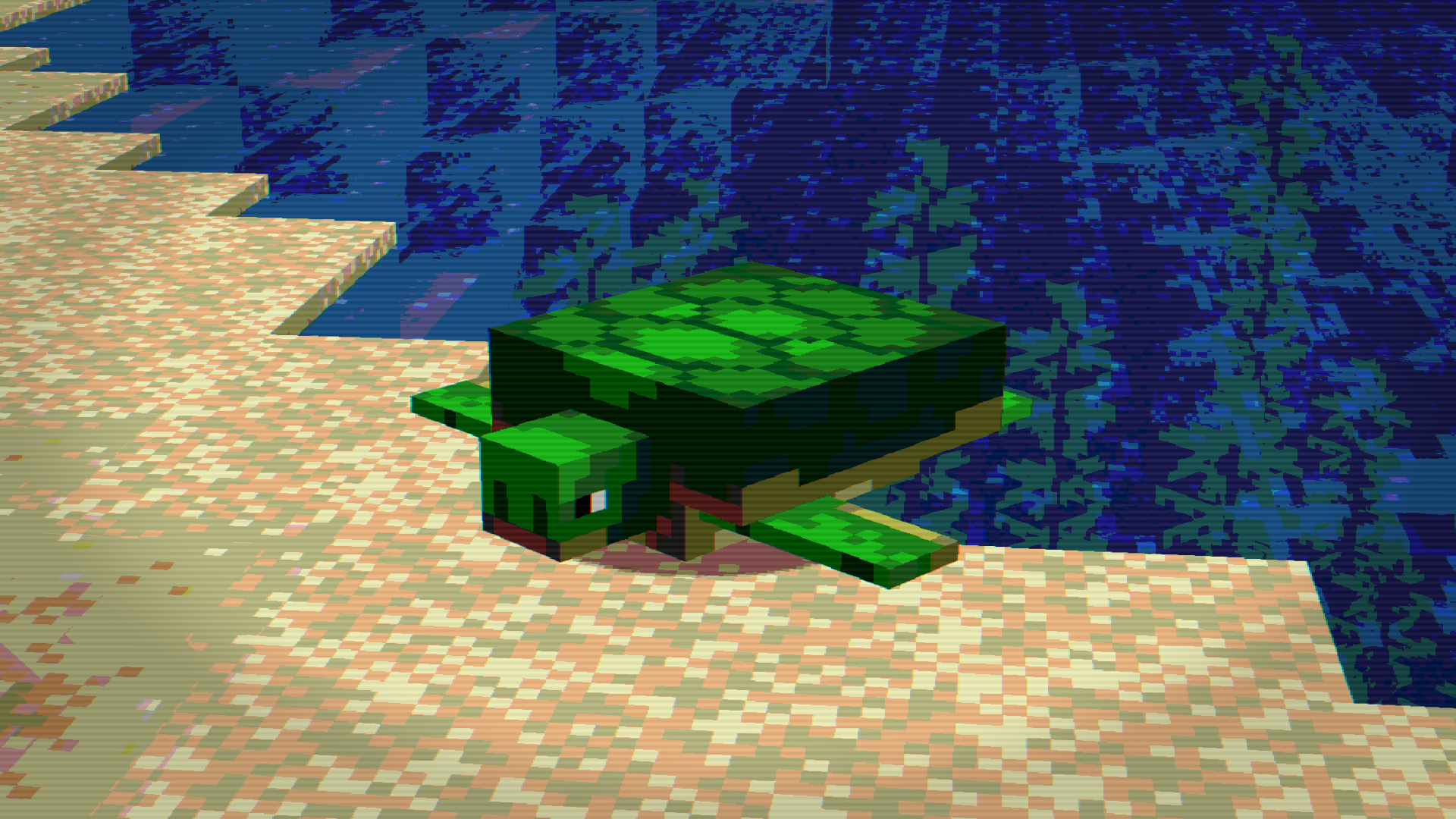 8bit turtle