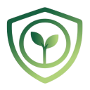 The New Life Logo