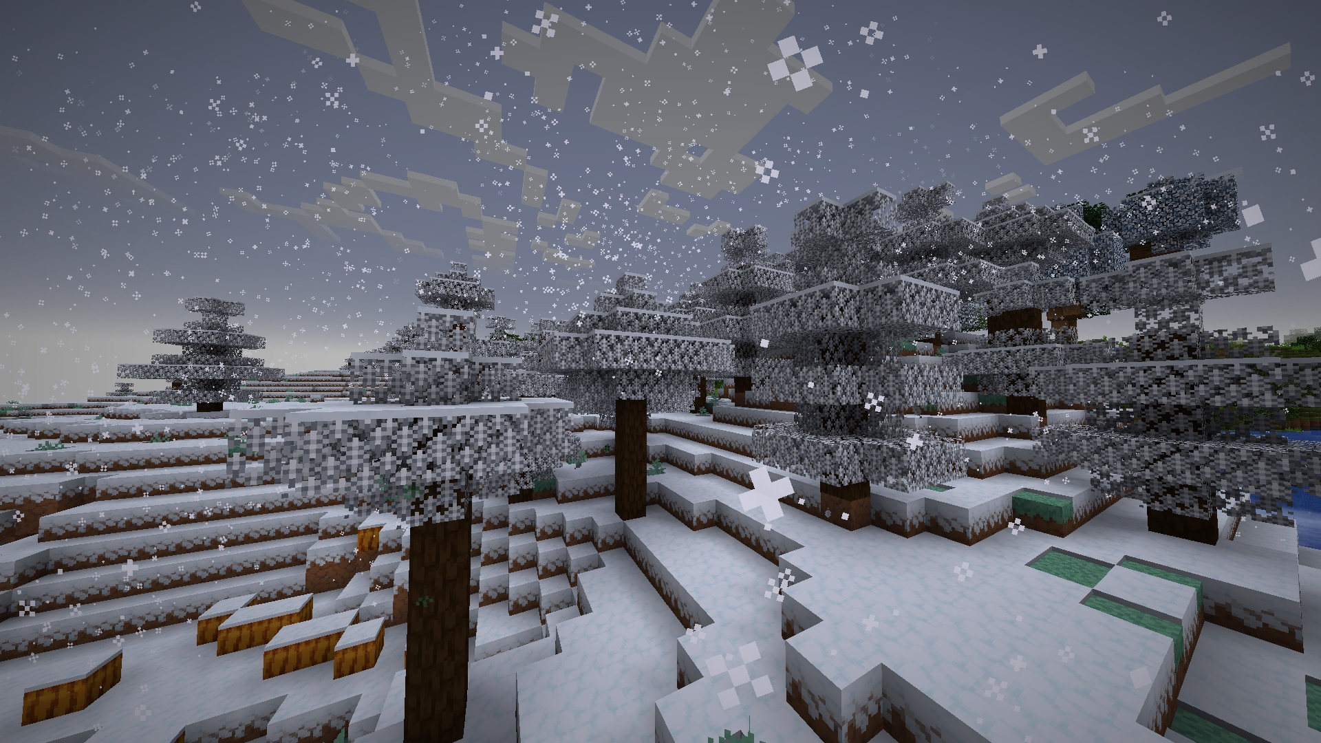 Snowy & White leaves when snowing