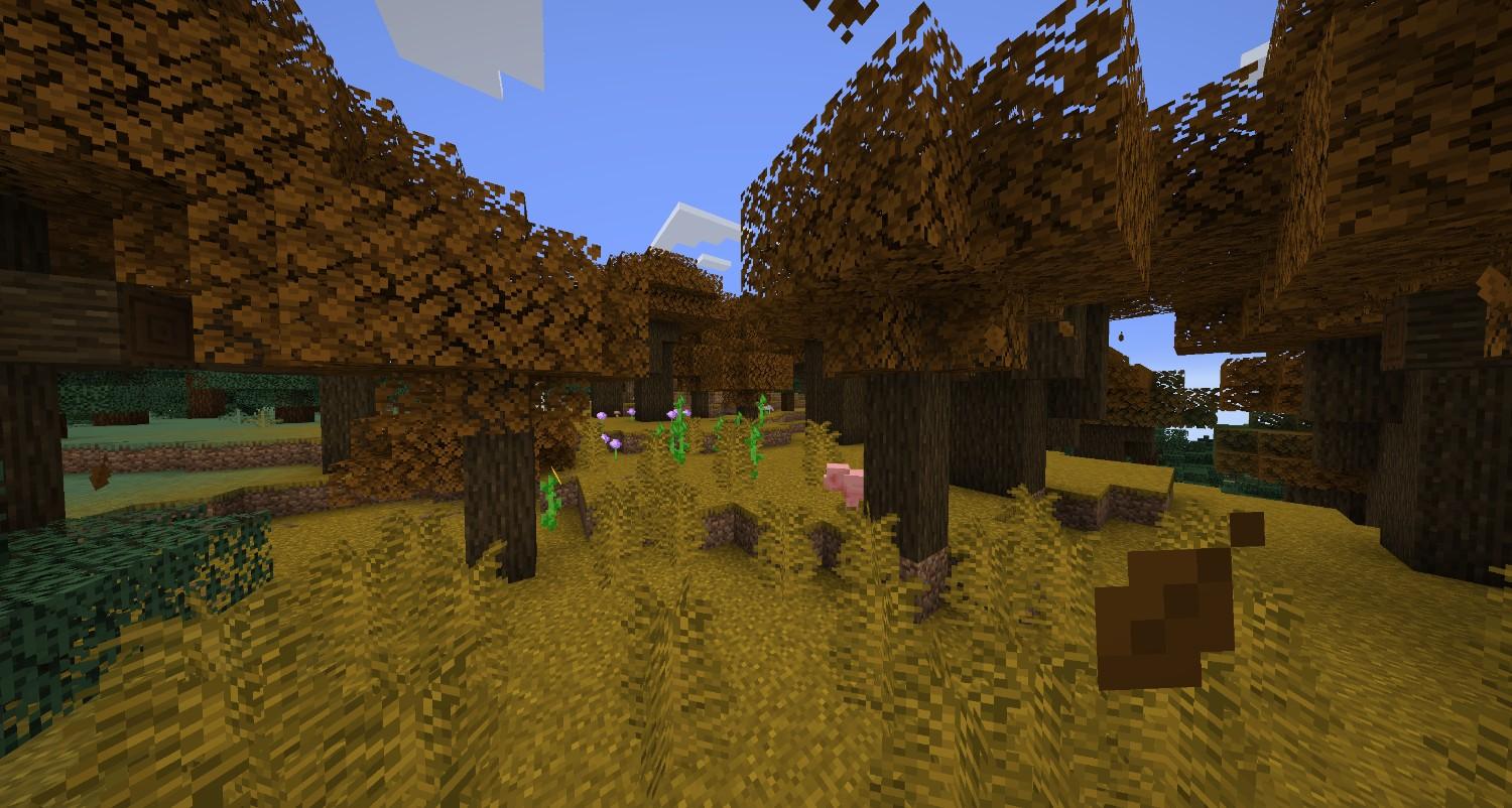 Autumn Grove