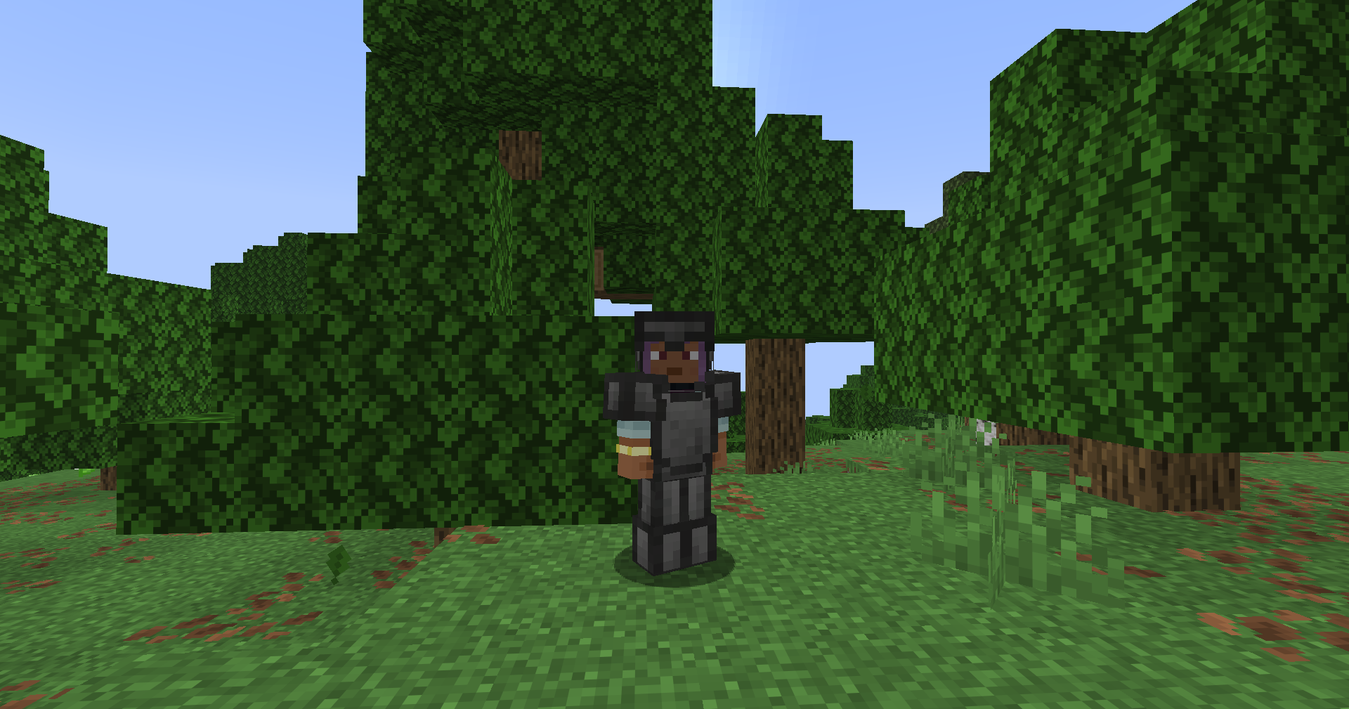 Coal Armor