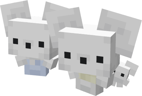 Family Three