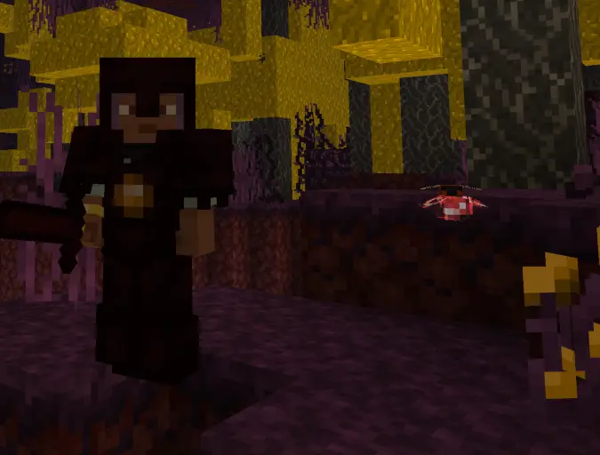 Player wearing armor and holding a sword