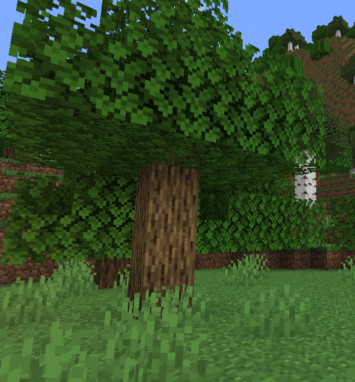 The Grass True