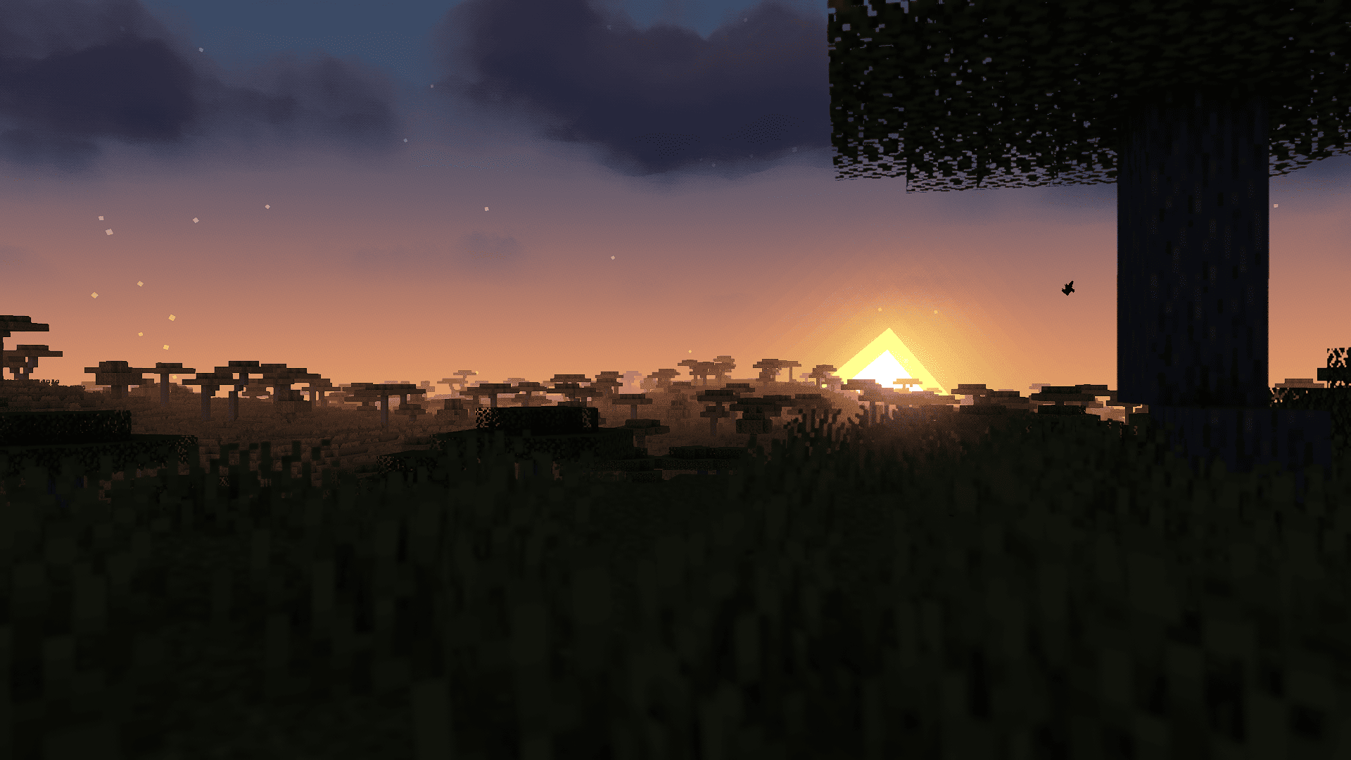 New sunrise/set colors.