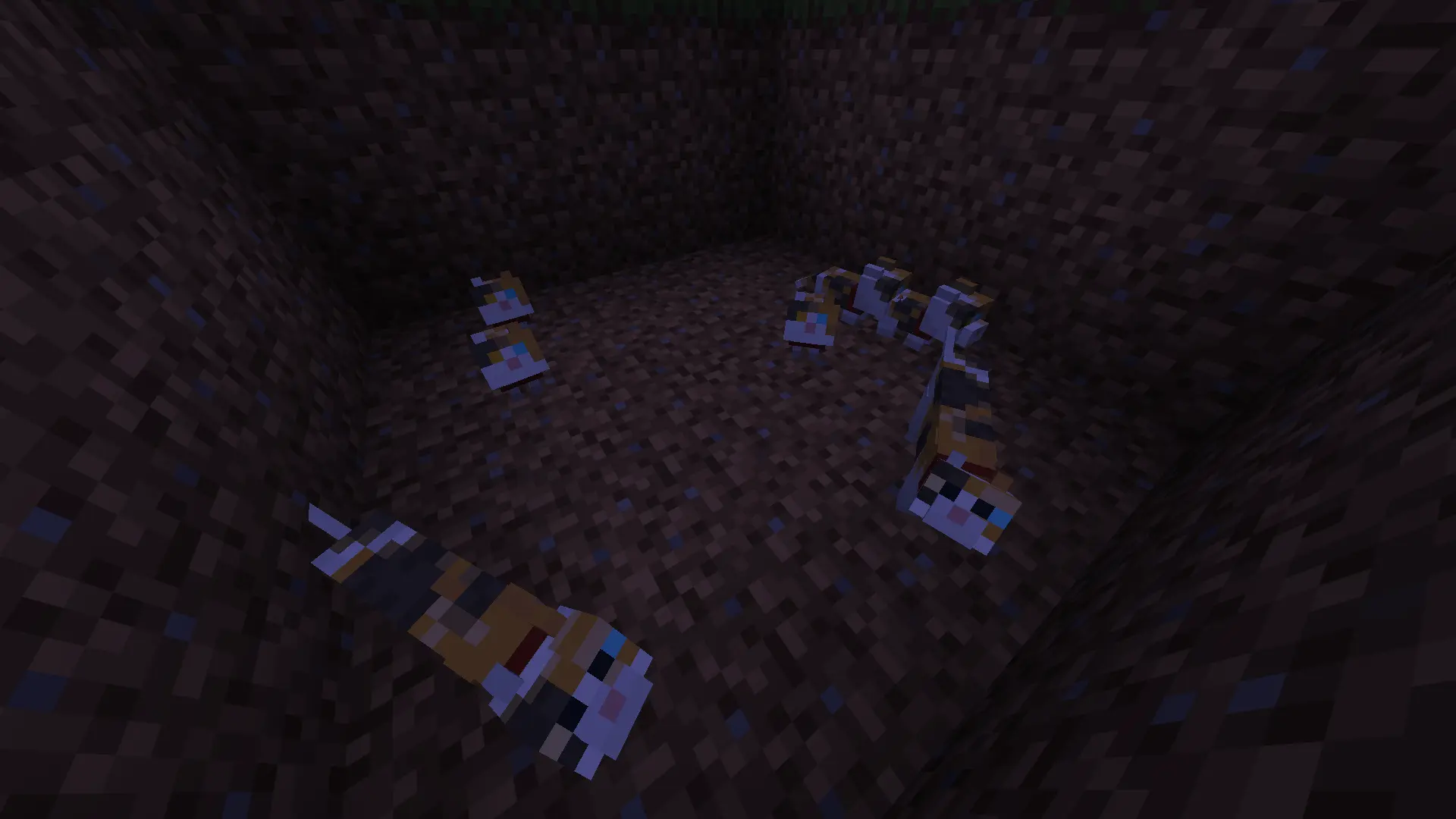 A litter of 5 kittens