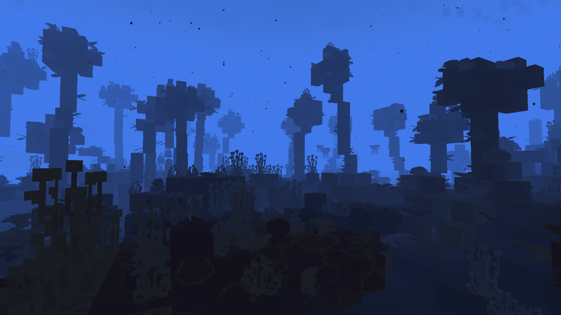 A Fungal Reef