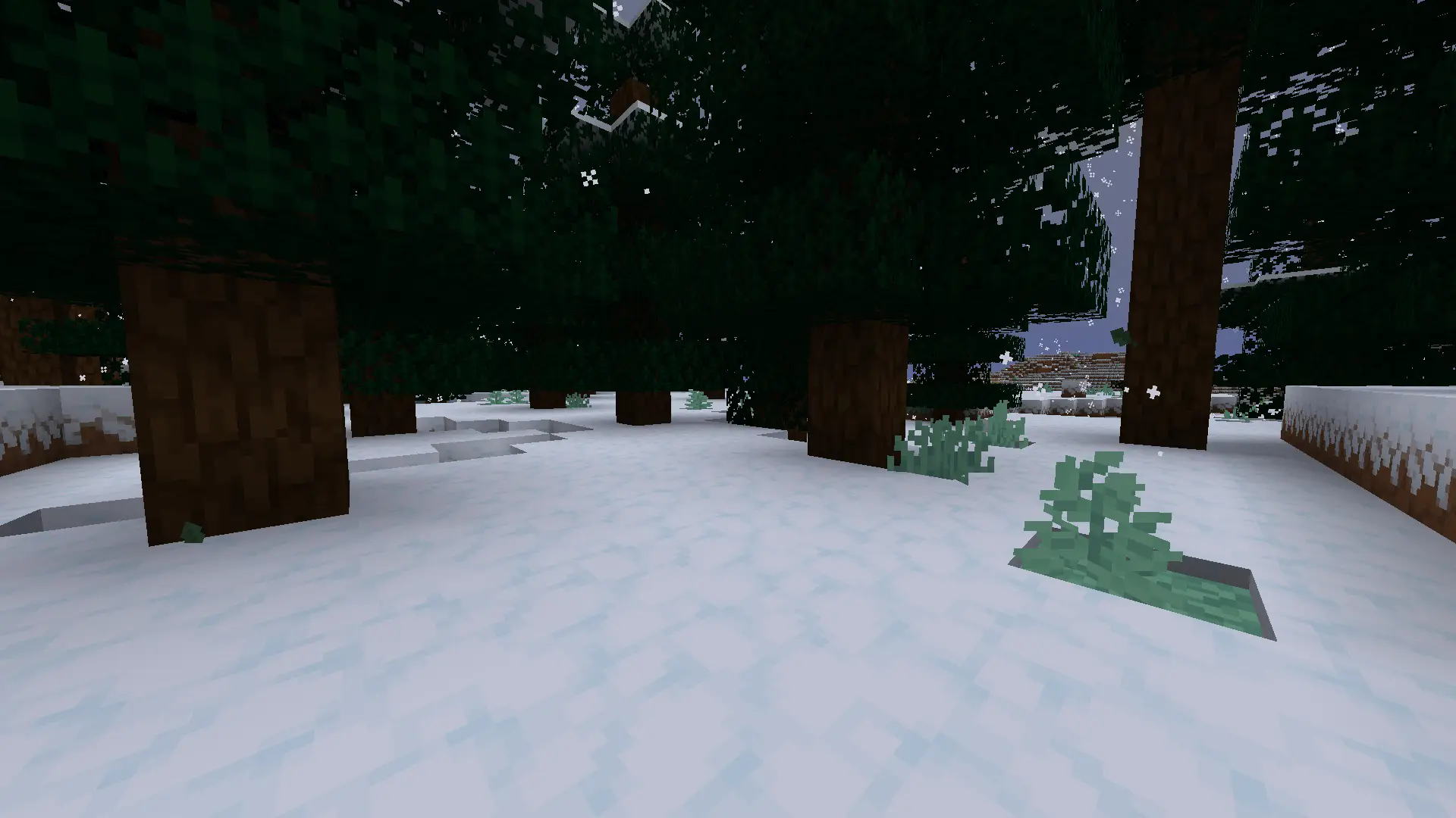 Snow's Under Trees!!
