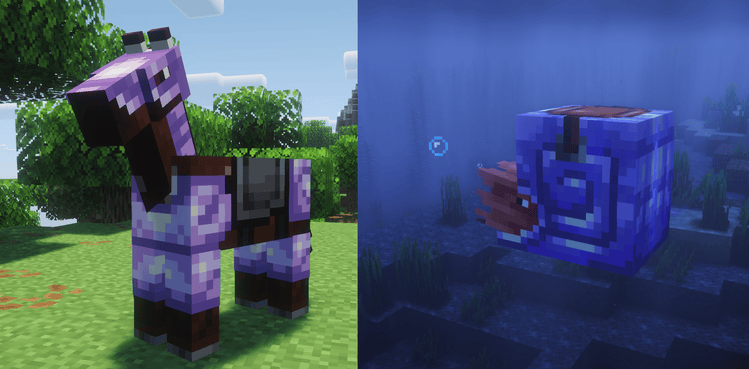 showcase horse & nautilus