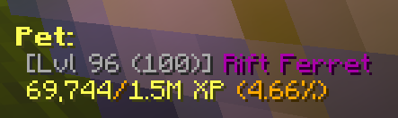 Pet display with an epic pet with not enough xp to get level 100 legendary