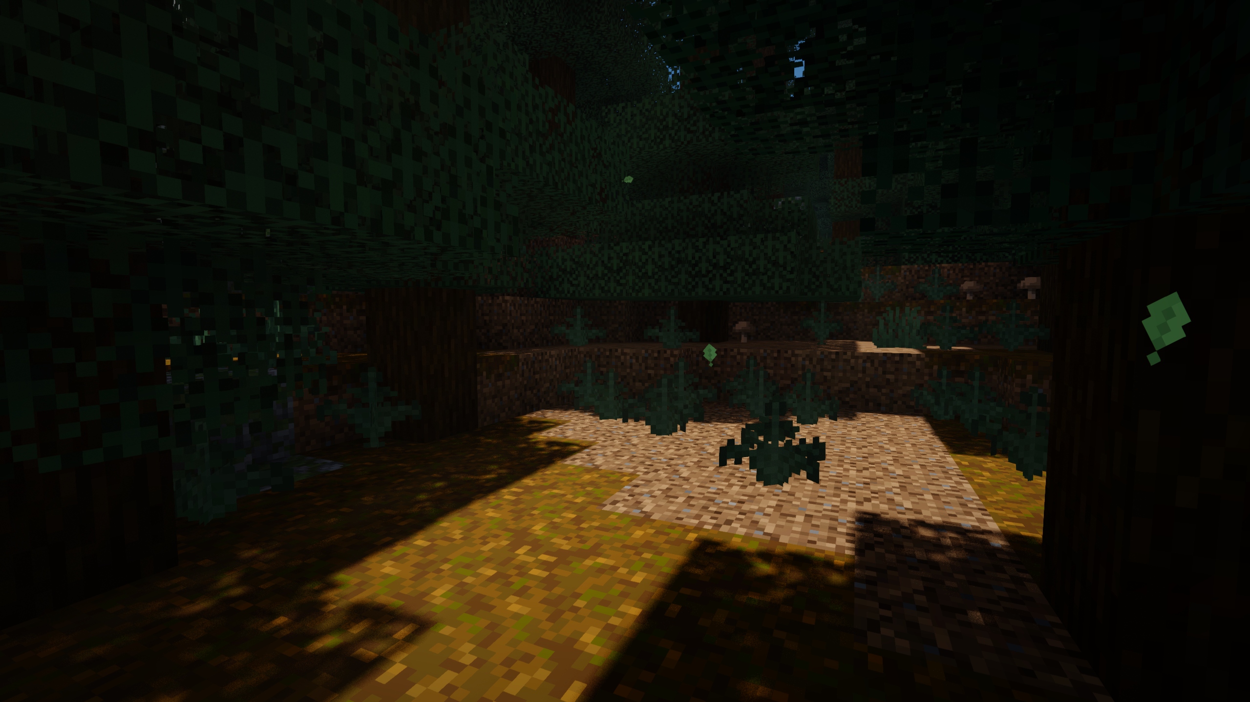 Taiga Forest