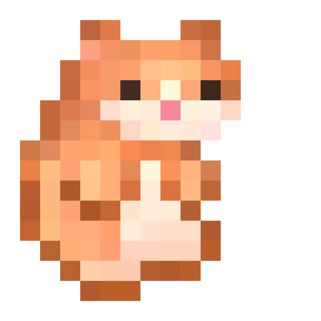 An orange hamster with a white chest and pink nose
