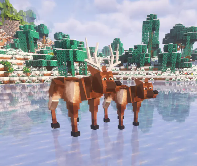 deer