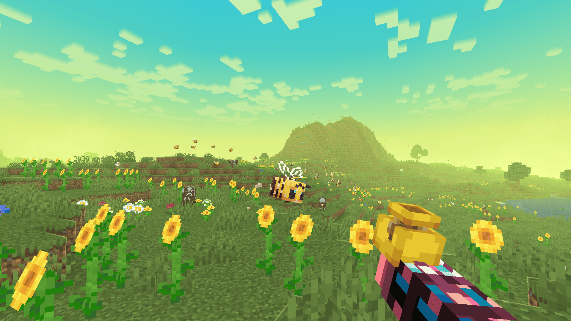 sunflower plains