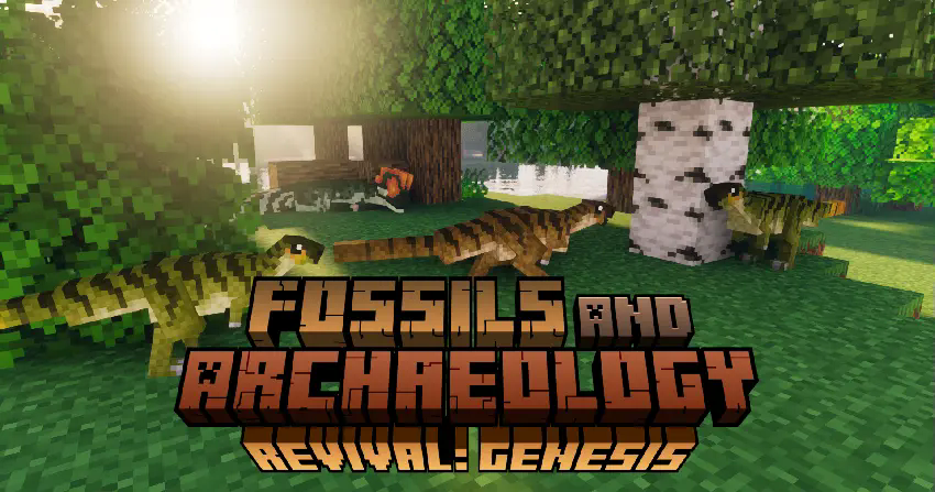 Fossils and Archaeology Title image