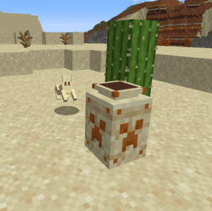 Desert Pot