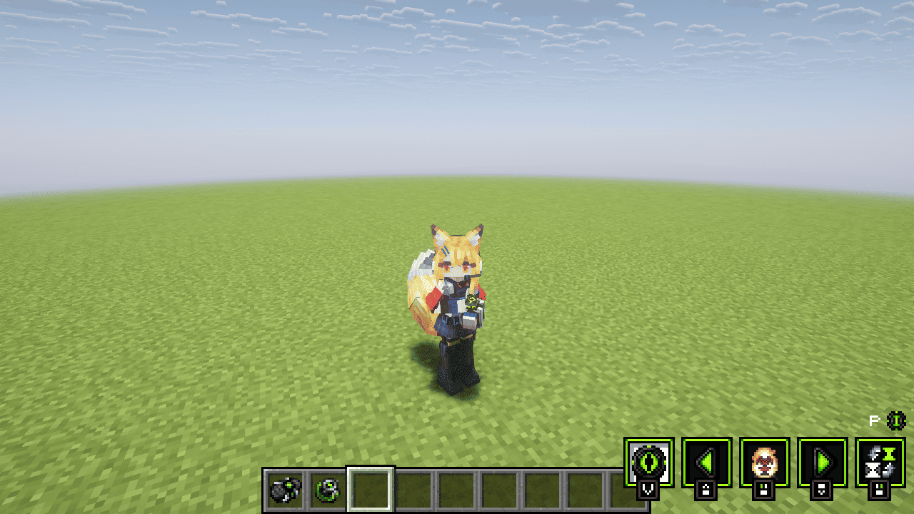 the third-person view