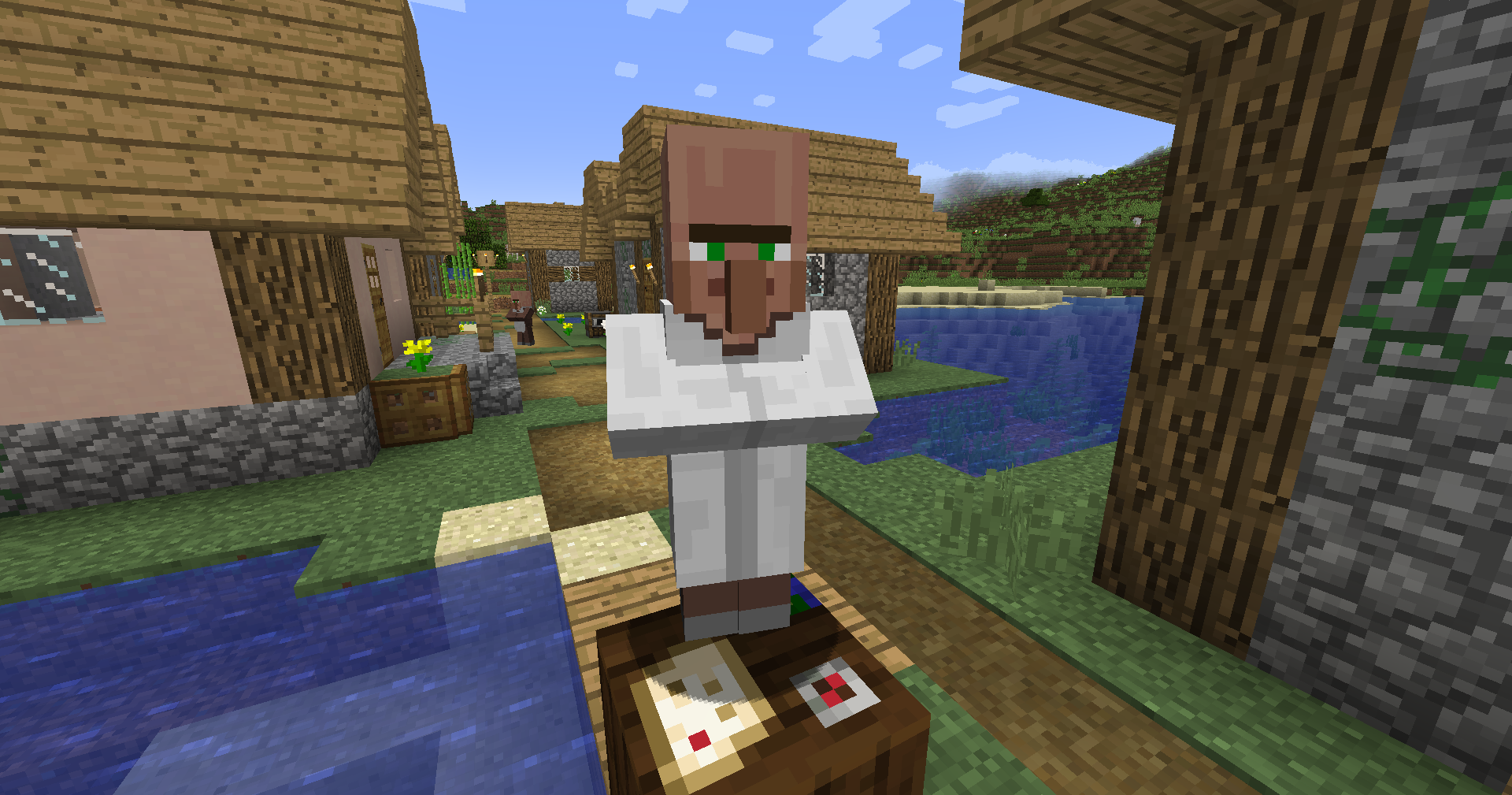 Library Villager