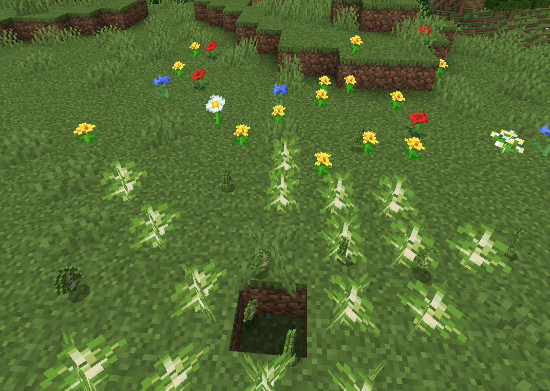 saplings behing planted