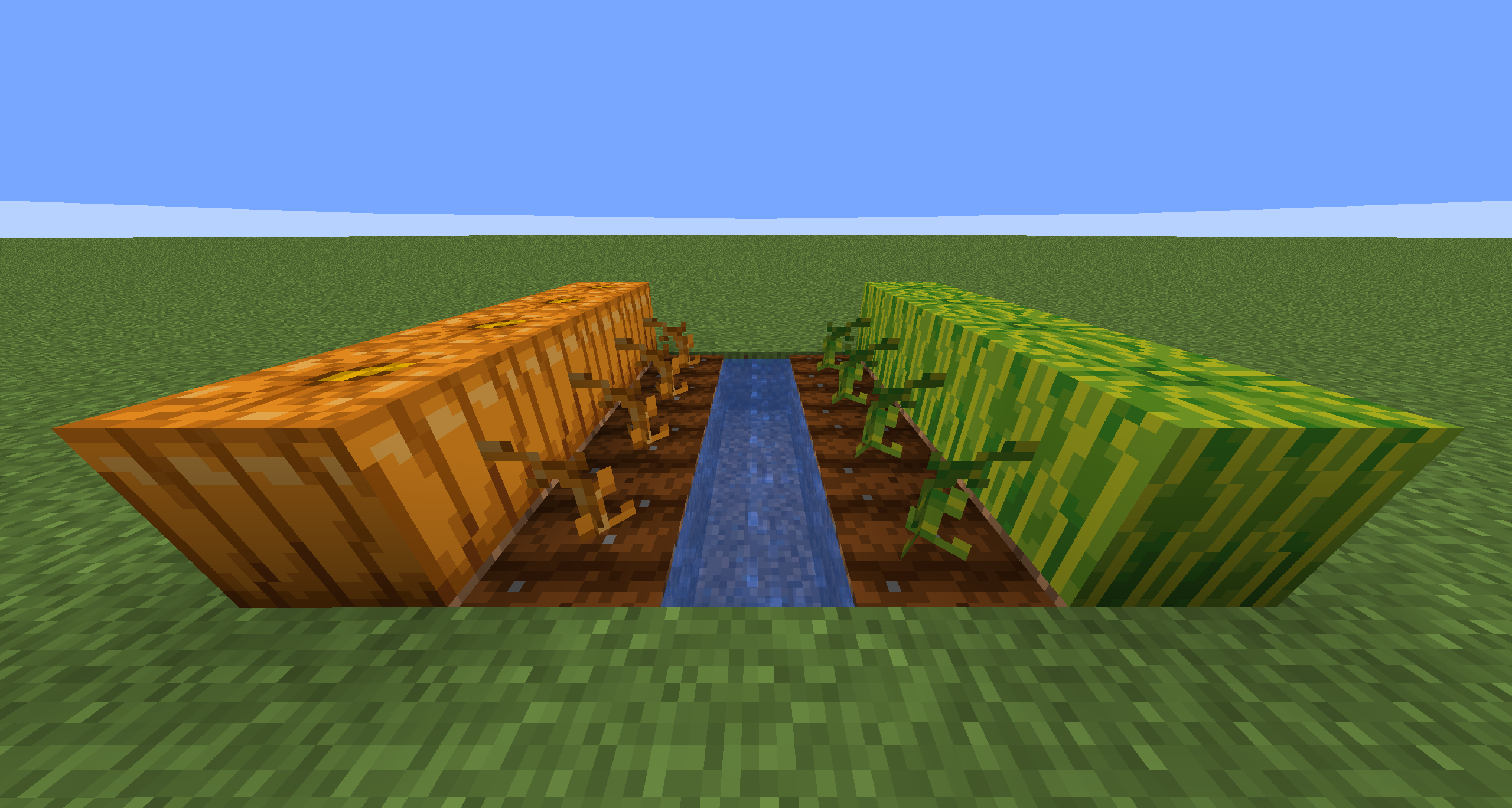 Pumpkin and Melon stems are different color
