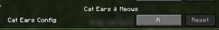 Keybind in settings