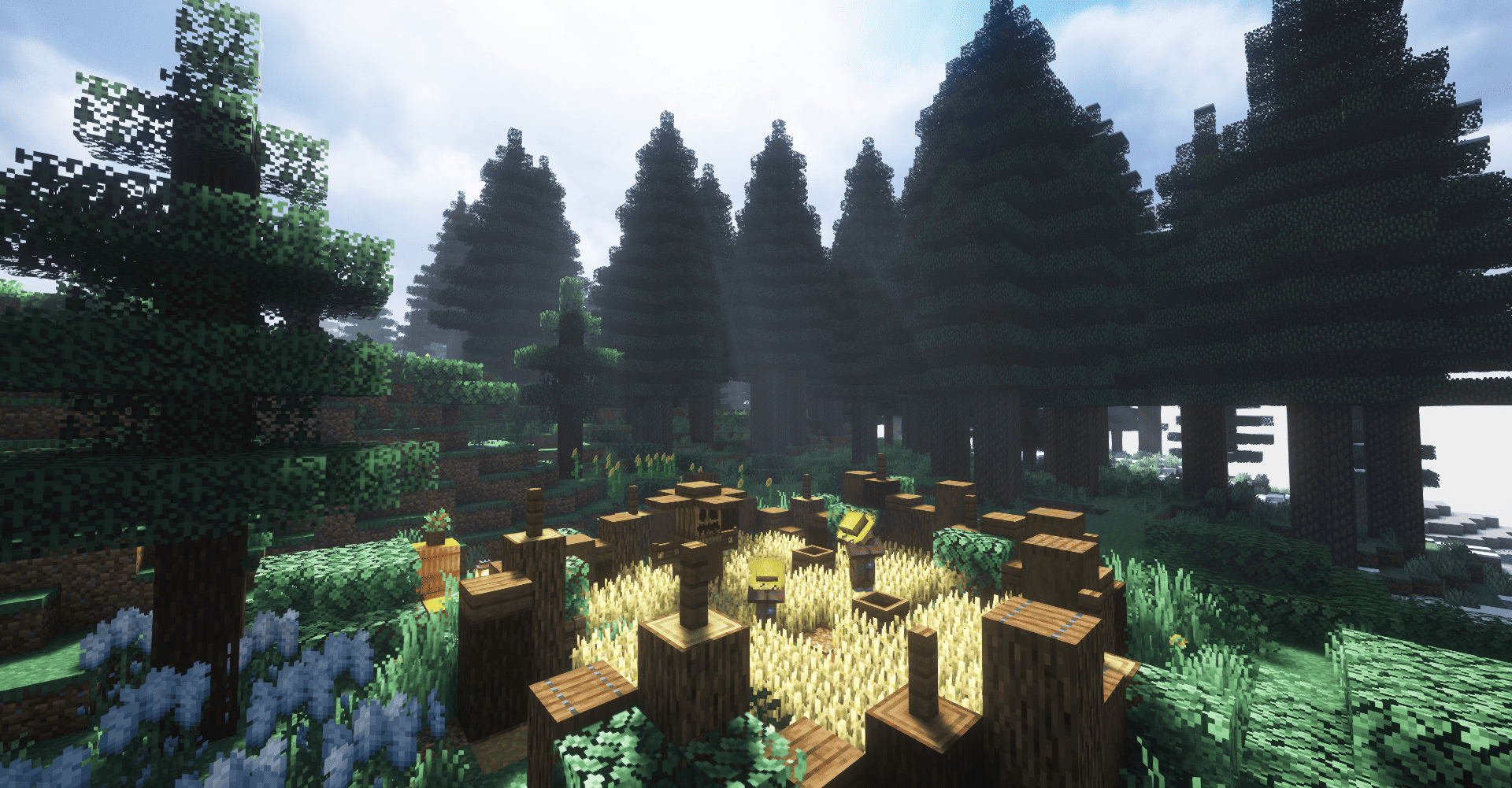 Biome3