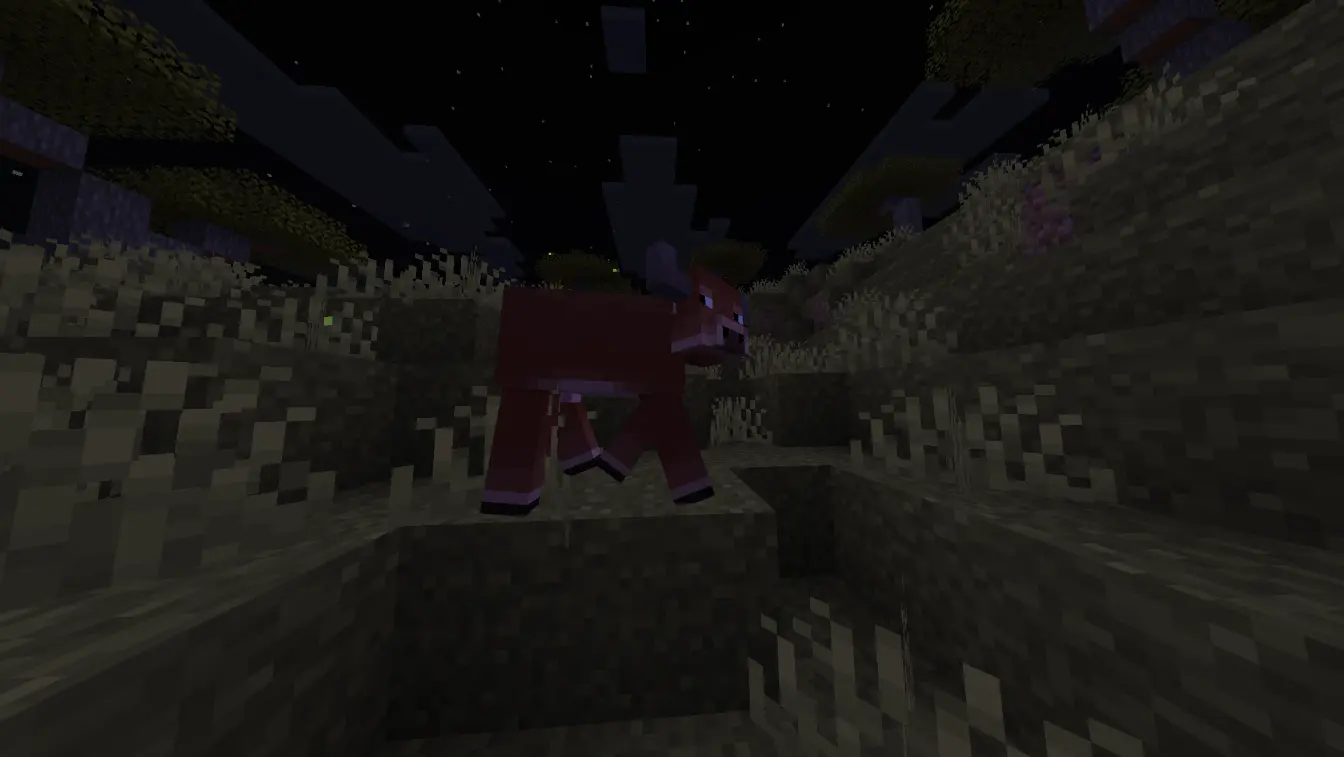 Animations