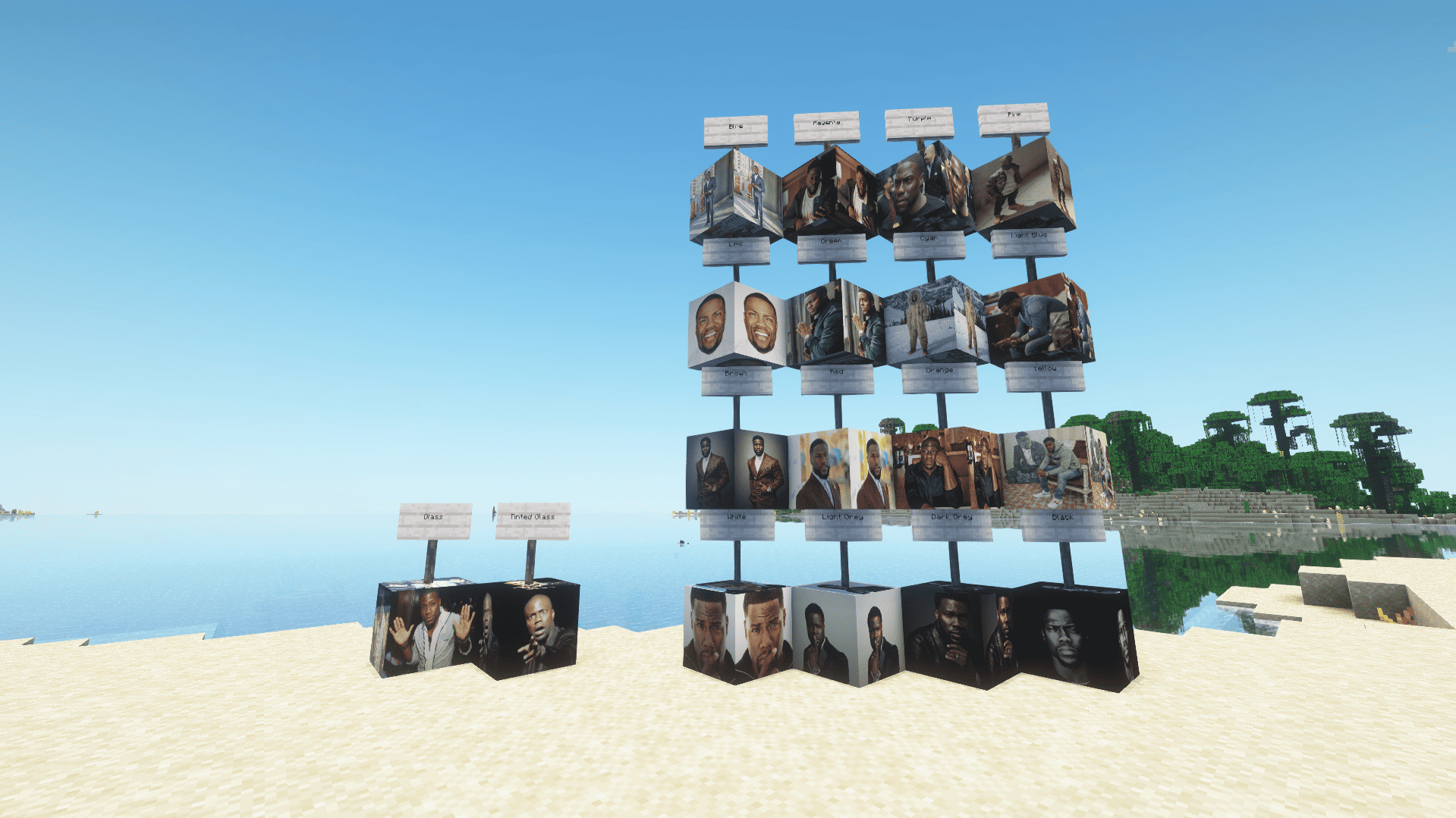 a showcase of all the glass