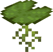 Lily Pad