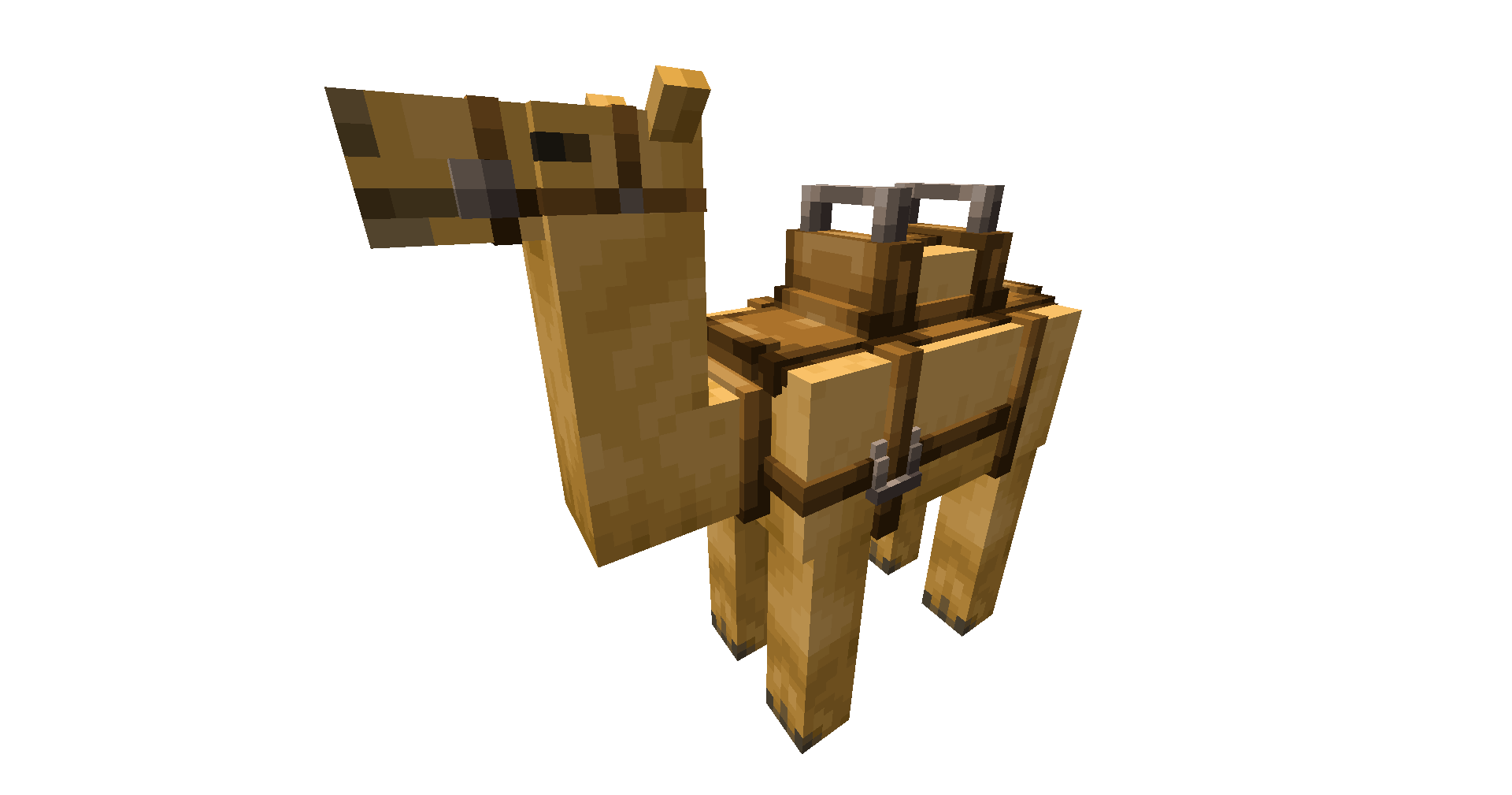 A lone camel shows off its saddle.