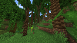 This Picture is in Biome made in Mod RegionsUnexplored