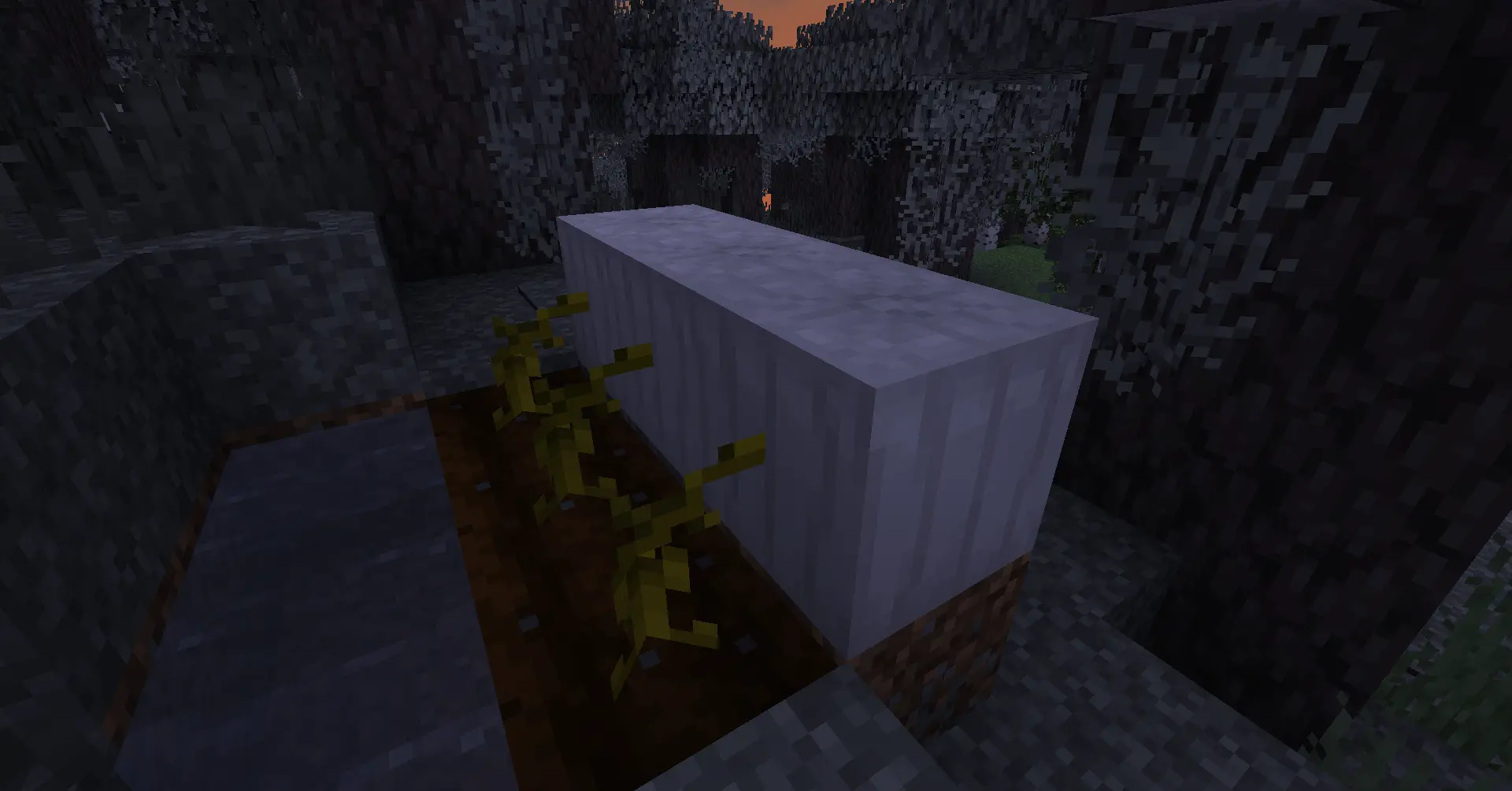 A Picture of Pale Pumpkins