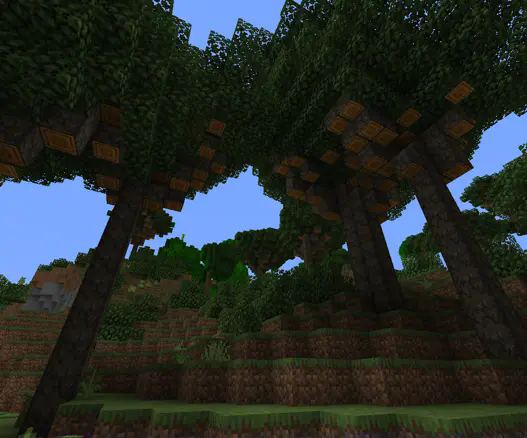 tree canopies