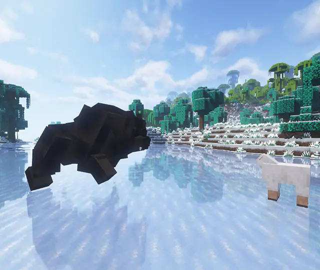 bearrun