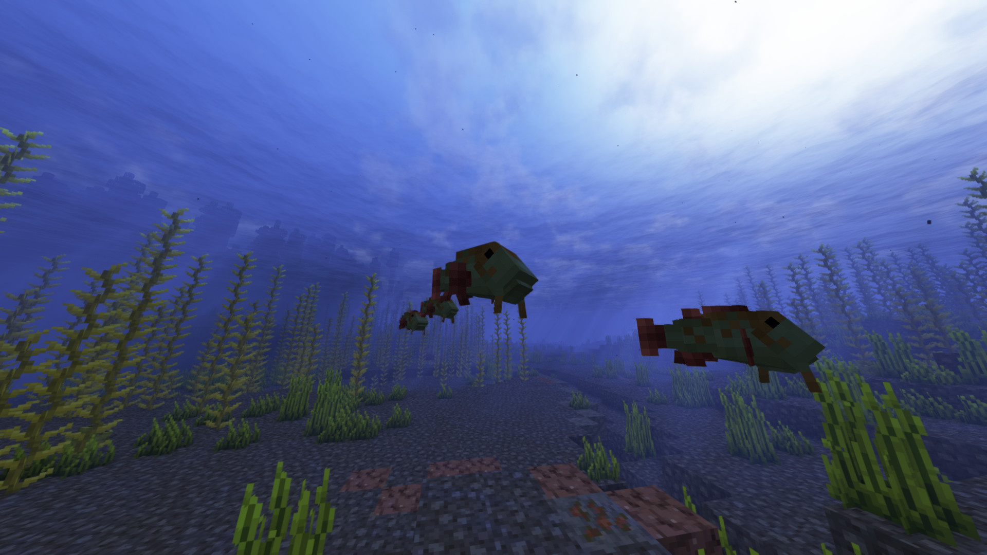 a fish in the bottom of the ocean