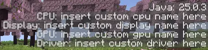 this image shows the changed f3 menu with the CPU, GPU, Display, and Driver listed as placeholder names like "insert custom cpu name here"