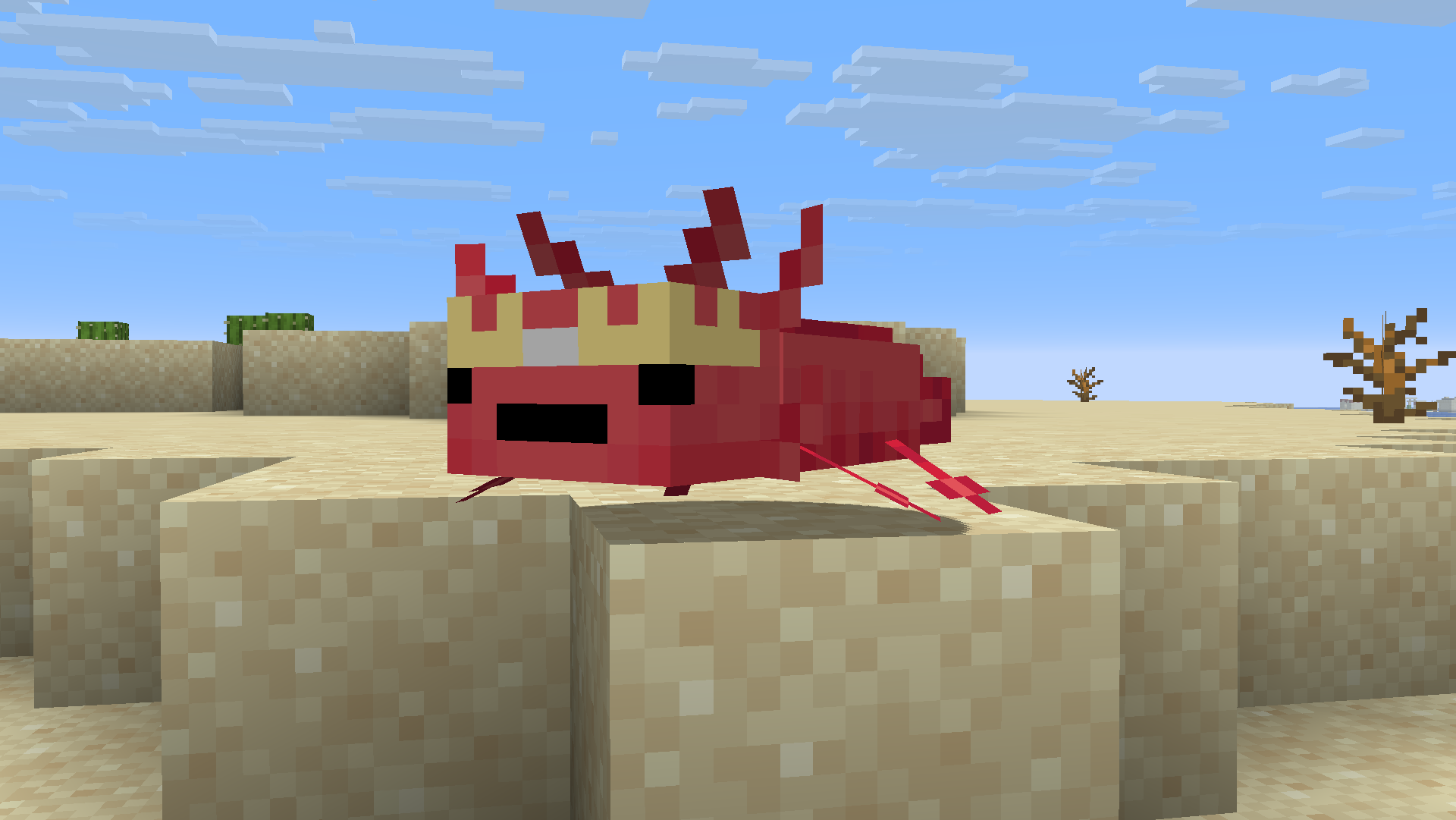 Sammylotl