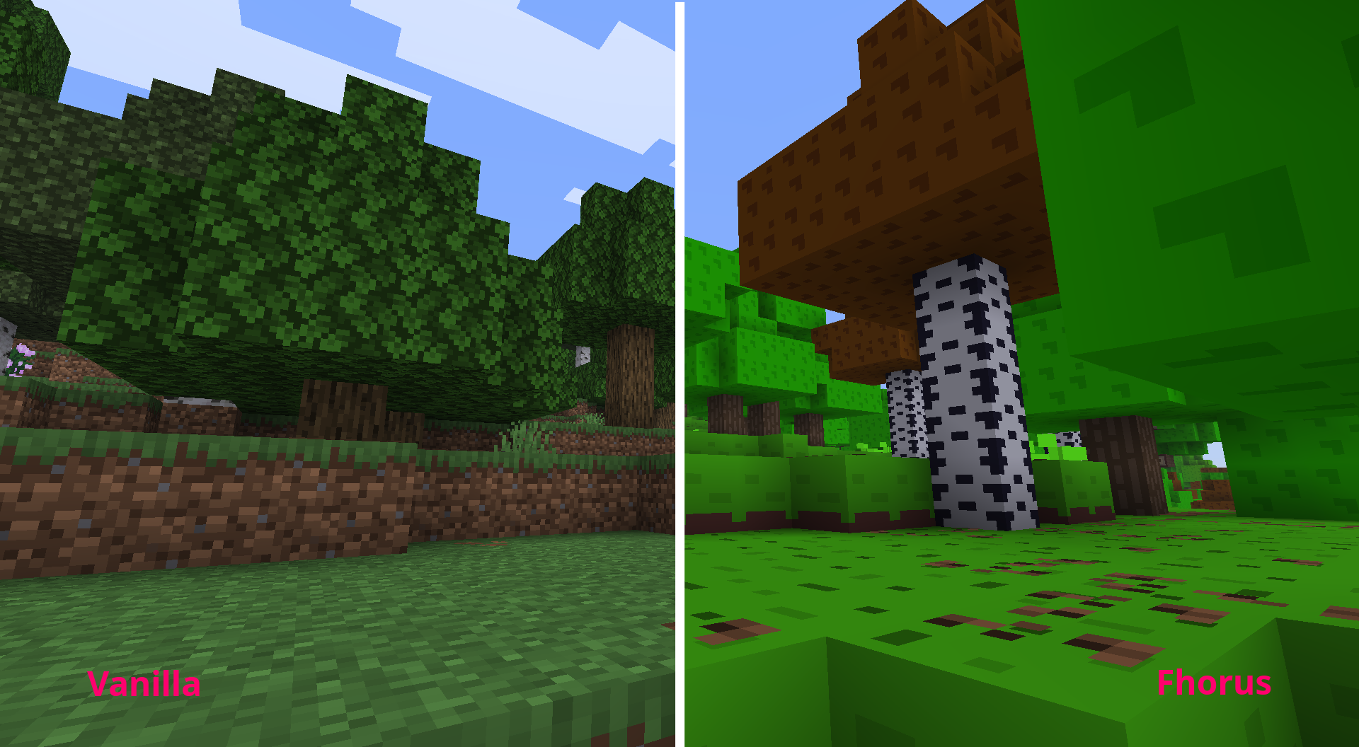 Comparison 1