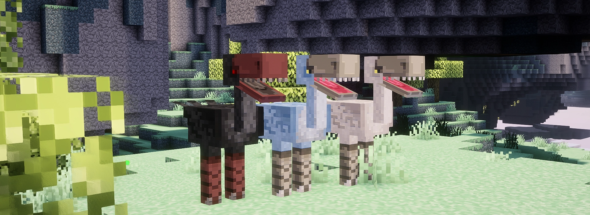 3 moas