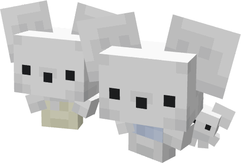 Family Three