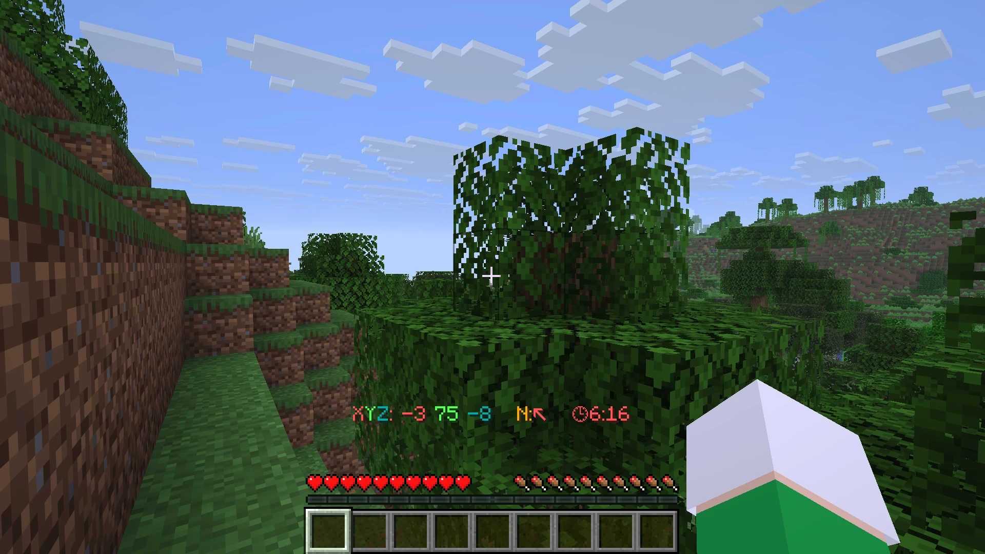 A Screenshot showing the custom HUD