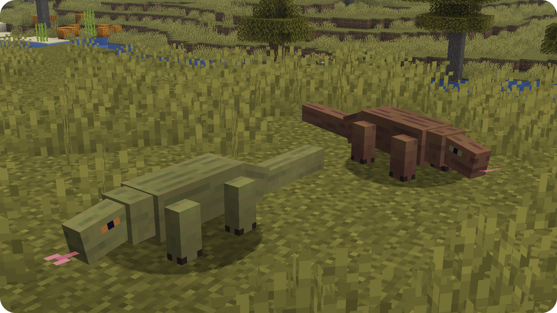 Komodo dragons chilling!