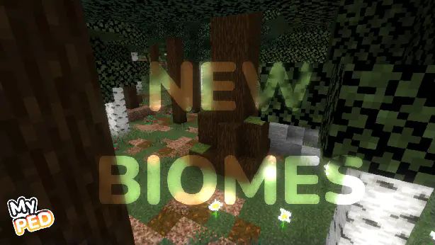 New Vanilla-matching biomes