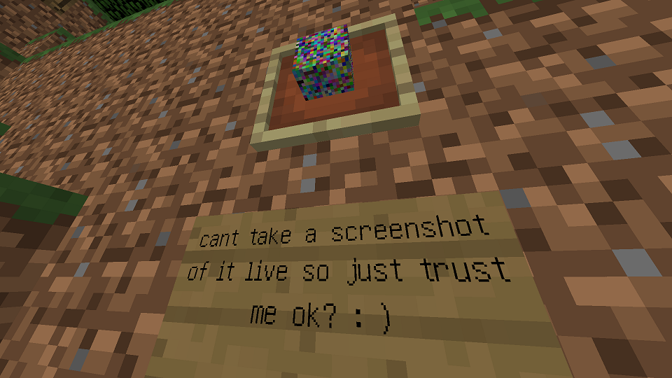 The block in an item frame with a sign below reading "cant take a screenshot of it live so just trust me ok? : )"